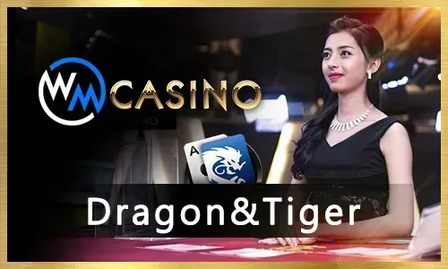 PH333 Fishing & Arcade